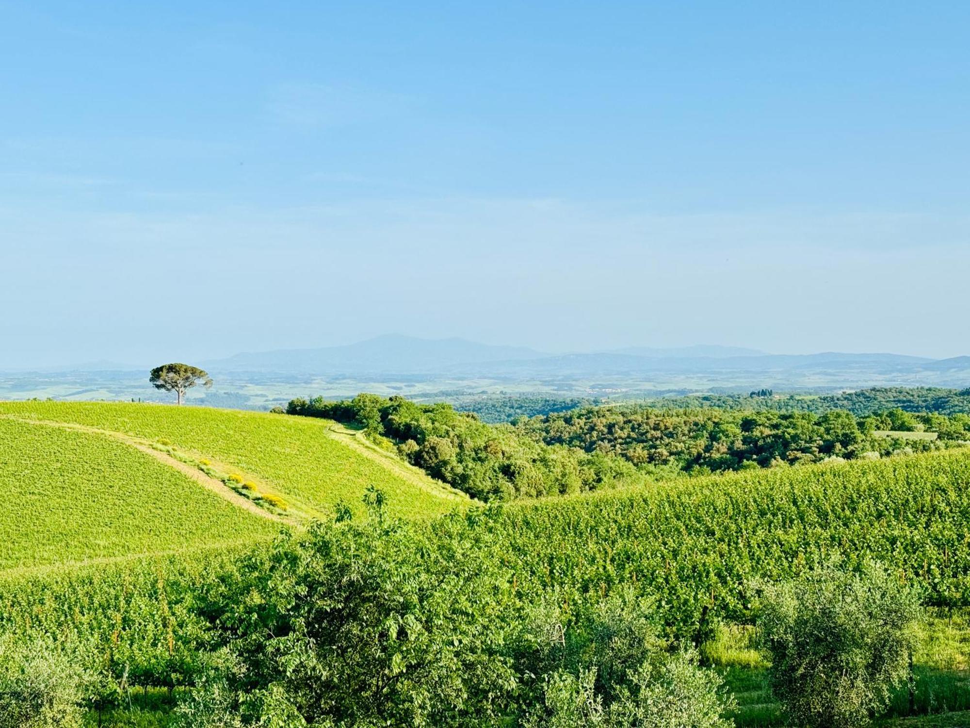 Libertas Tuscan Hideaway San Sano Dış mekan fotoğraf