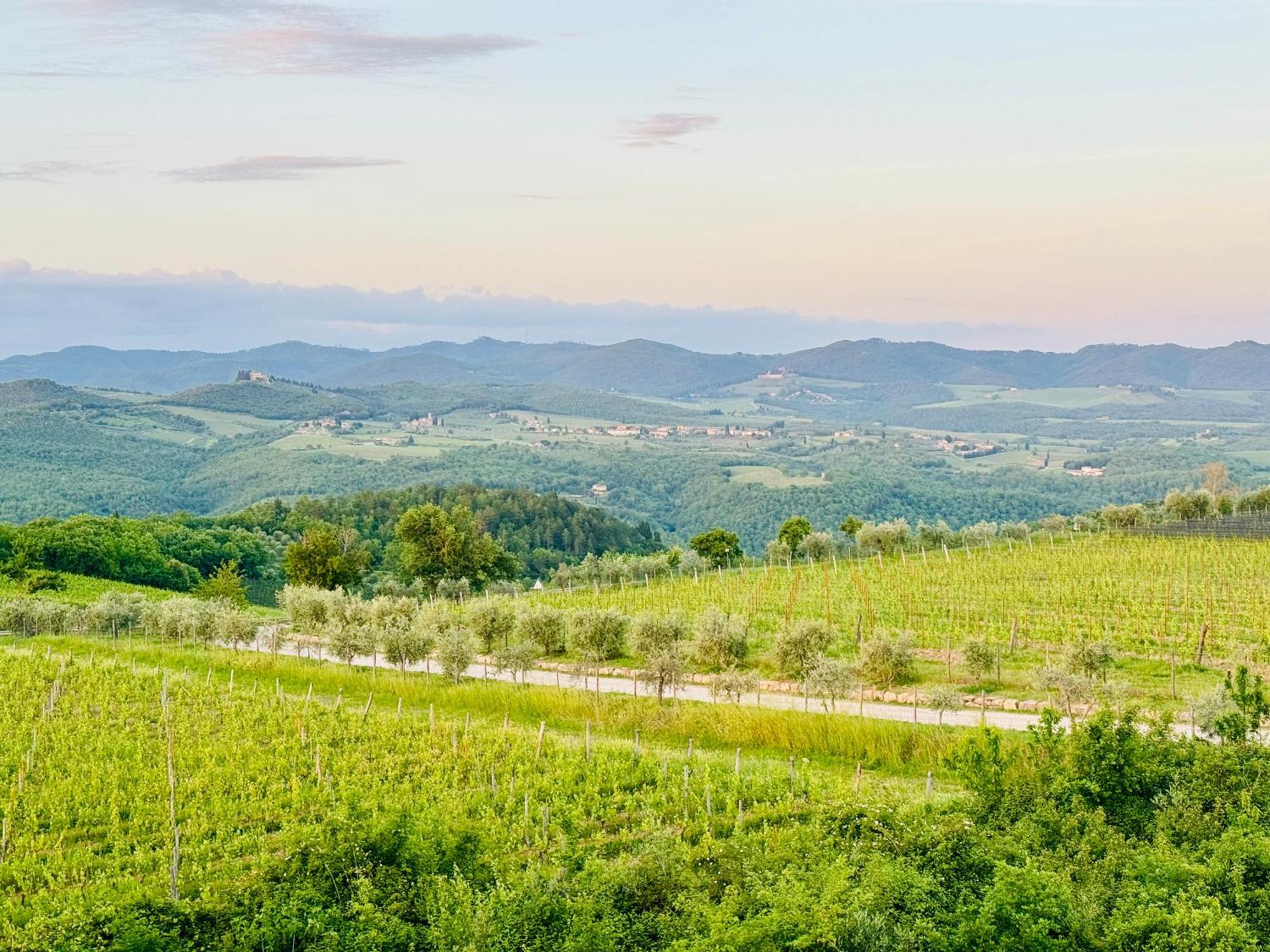 Libertas Tuscan Hideaway San Sano Dış mekan fotoğraf